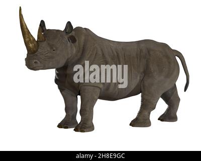 The Rhinoceros is a thick-skinned horned mammal that lives in Africa, India and Asia. Stock Photo