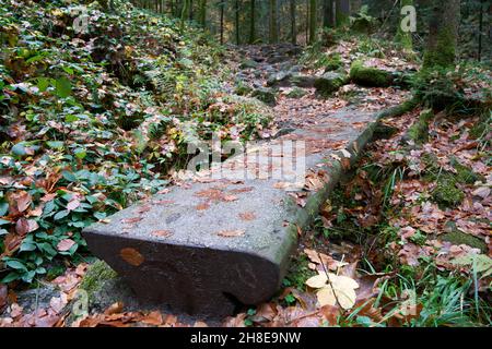 Path made of stones leads over a tiny river in the black forest. Surroundings with lots of trees, stones and autum leaves. Germany, Blackforest, Gerte Stock Photo