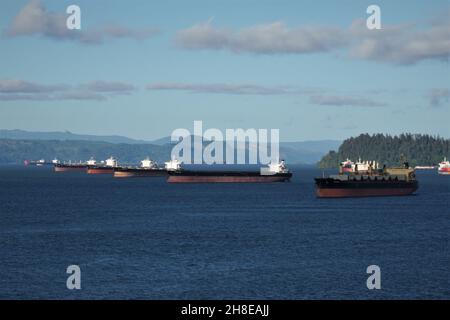 Anchored bulk cargo vessels observed from merchant container ship sailing through Columbia river, Oregon. Stock Photo