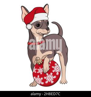 Color image of a small dog, a brown chihuahua in a red Christmas hat with a Christmas tree toy. Isolated vector object on a white background. Stock Vector