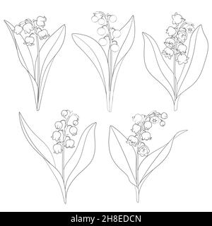 Set of black and white images with lilies of the valley. Isolated vector objects on a white background. Stock Vector