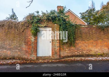 A white, painted wooden door in a red brick wall with ivy growing over the top. Stock Photo