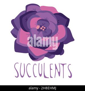 Hand drawn succulent, doodle style, isolated on a white background. Stock Vector