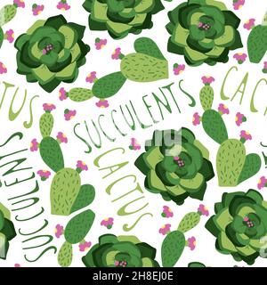 Seamless pattern with succulents and cactus in colourful pots, pattern in doodle hand drawn style. Stock Vector