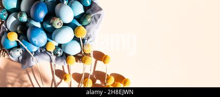 Homemade naturally dyed eggs in blue colors Stock Photo