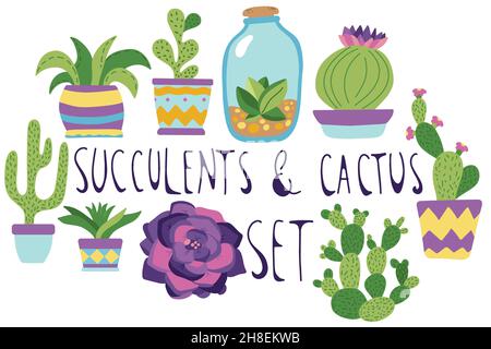 Set with succulents and cactus in a hand drawn doodle style, isolated on a white background. Stock Vector