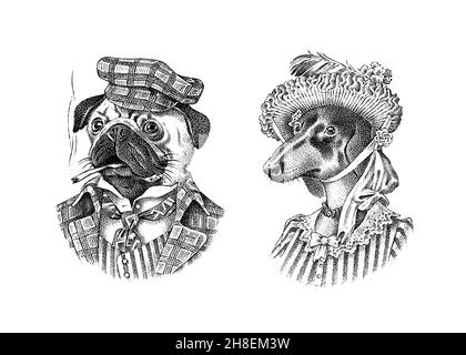 Pug Dog smokes a cigar in a tweed suit. Dachshund Lady or madam. Fashion Animal character in clothes. Hand drawn sketch. Vector engraved illustration Stock Vector