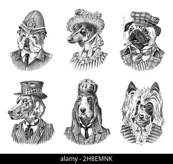 Pug Dog dog smokes cigar in suit. English Bulldog policeman. Herding and Bloodhound and German Shorthaired Pointer and Dachshund. Fashion Animal Stock Vector