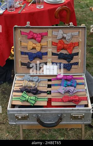 Many bright colorful beautiful bow ties in an open suitcase  , collection of men's bow ties. Stock Photo