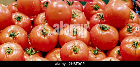 Tomatoes on display; The tomato is the edible berry of the plant Solanum Lycopersicum, commonly known as a tomato plant. Stock Photo