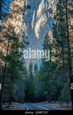 View of El Capitan in Yosemite Valley, California. Stock Photo