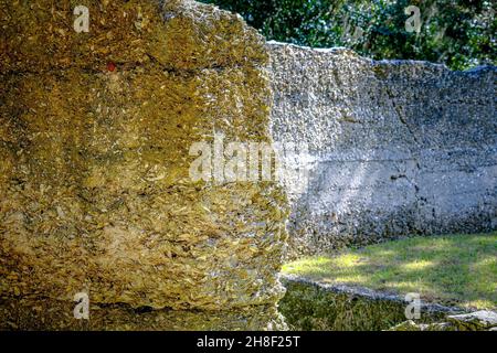 Runs of Old Tabby House on Plantation Stock Photo