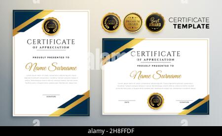 professional diploma certificate template in premium style Stock Vector