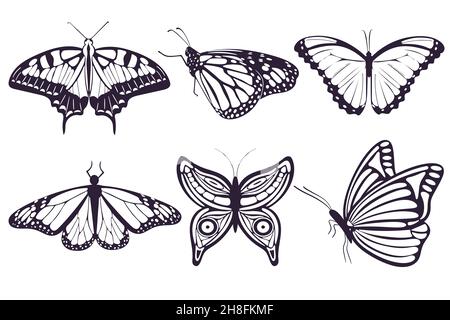 Butterflies hand drawing set isolated objects.