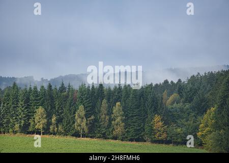 Fog that moves over the forest. Autumn mood in the Saarland. The nature invites you to hike. Stock Photo
