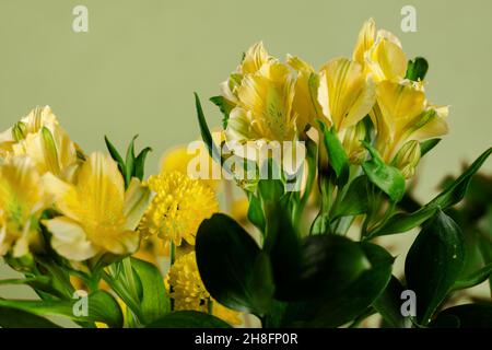 Beautiful yellow and green Bouquet of lilies and chrysanthemums close up. Delicate flowers. Floristics. Indoor. Selective focus. Stock Photo