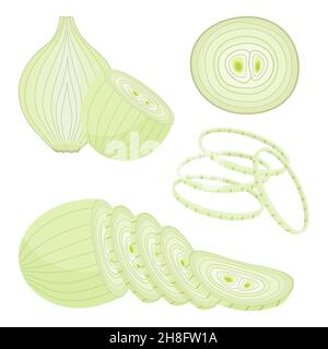 Peeled onion isolated on white. Half, slice and onion rings. Vector icon. Cartoon brown or yellow onions set, Fresh farm market vegetables. Stock Vector