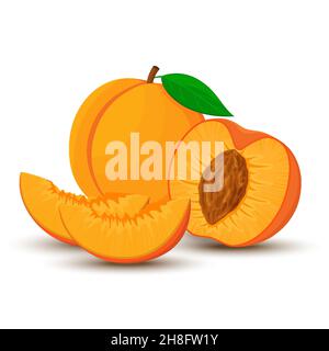 An image of a peach from different directions. Vector illustration in a flat style. Whole, half and sliced peach with bone. Stock Vector