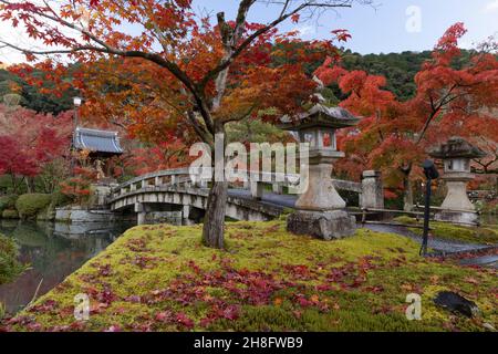 Kyoto, Japan. 27th Nov, 2021. The bridge at the Benten shrine inside the Eikando Zenrin-ji Temple in Kyoto.Eikando Zenrin-ji Temple is one of the oldest temples in Kyoto. Founded in 863 AD, it witnessed many wars and destructions only to be rebuilt every time by the people of Kyoto. It is home to the Jodo Seizan Zenrin-Ji sect of Buddhism. The garden complex attracts many visitors, especially during the autumn season. (Photo by Stanislav Kogiku/SOPA Images/Sipa USA) Credit: Sipa USA/Alamy Live News Stock Photo