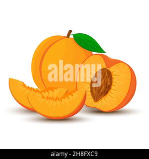 An image of a peach from different directions. Vector illustration in a flat style. Whole, half and sliced peach with bone. Stock Vector