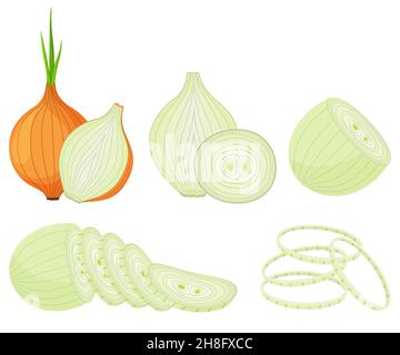 Vector onion isolated on white. Half, slice and onion rings. Vector icon. Cartoon brown or yellow onions set, Fresh farm market vegetables. Stock Vector