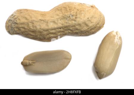 Close up of shelled peanuts next to half of shell on white background Stock Photo