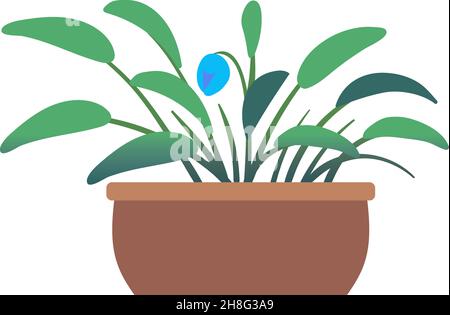 Cute blue flower in pot. Green house plant Stock Vector