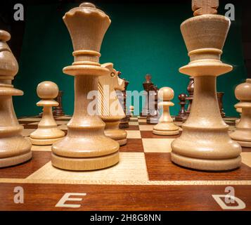 Royal chess on white and black chessboard on green background. Stock Photo