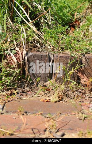 Vintage brick fence lining the garden in the bright summer sun. Stock Photo
