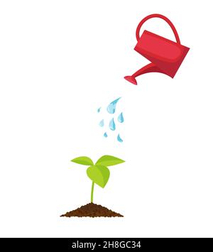 Watering plants with watering cans. Phases of plant cultivation. Vector illustration in flat style. EPS 10 Stock Vector