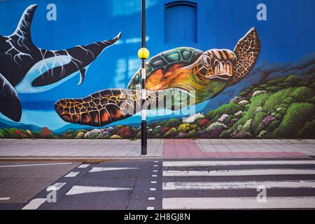 Artist Martin Darcy mural on Knightstone Road, Weston-super-Mare. Underwater mural depicts orca and sea turtle,  painted on Royal Hotel Stock Photo