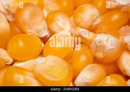 Sweet corn kernels food background Stock Photo