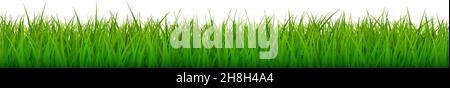 Vector bright green realistic seamless grass border isolated on white background Stock Vector