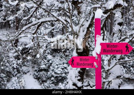 winter path sign in pink Stock Photo