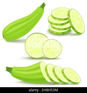 Zucchini is fresh. Squash whole, half with seeds and slice in cross section.Vegetable, ingredient, the element of packaging design for food, recipes. Stock Vector