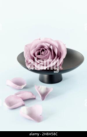 Pretty pink rose and rose petals on plain light blue background Stock Photo