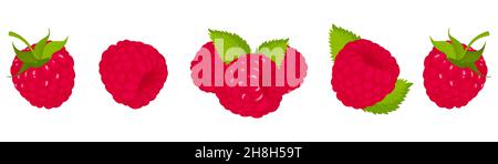 Raspberry, isolated on white bacground. Raspberry vector set, whole and slice of raspberry with green tail and leaf. Flat design Stock Vector