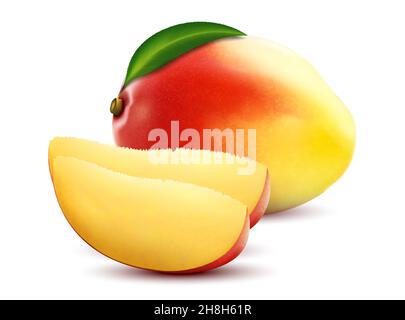 Mango fruits. Sweet fruits. Whole and slice mango fruit with leaf, 3D realistic isolated vector, editable handmade mesh Stock Vector