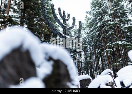 Commemoration event for the 80th anniversary of the Rumbula massacre in Riga, November 30th, 2021. At the end of 1941 over 27,000 Jews were murdered by the Nazis in the Rumbula forest. Copyright: Florian Gaertner/photothek.de Stock Photo