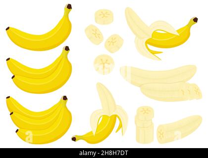 https://l450v.alamy.com/450v/2h8h7dt/banana-set-whole-half-and-peeled-banana-bunch-of-bananas-and-slices-of-banana-isolated-on-white-background-flat-cartoon-style-vector-2h8h7dt.jpg