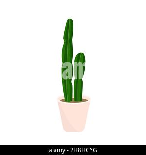 Decorative houseplants. Plants and nature homemade flowers in pot interior decoration in flat cartoon style. Vector illustration Stock Vector