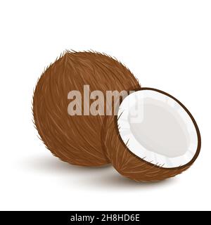 Set of exotic whole, half, cut slice coconut fruits and leaves isolated on white background. Summer fruits for healthy lifestyle. Organic fruit. Carto Stock Vector