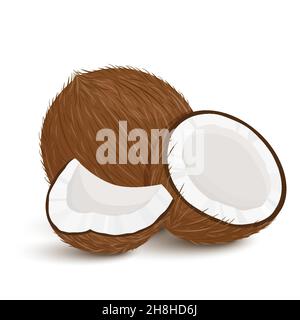 Set of exotic whole, half, cut pieces of coconut fruit isolated on white background. Summer fruits for a healthy lifestyle. Organic fruits. Cartoon st Stock Vector