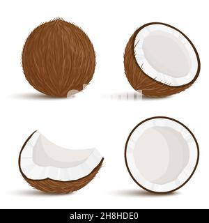 Set of exotic whole, half, cut pieces of coconut fruit isolated on white background. Summer fruits for a healthy lifestyle. Organic fruits. Cartoon st Stock Vector