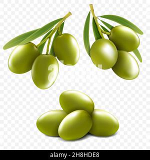 A Vector Illustration set of Olive Green Tree Leaf Vector Sign Stock ...