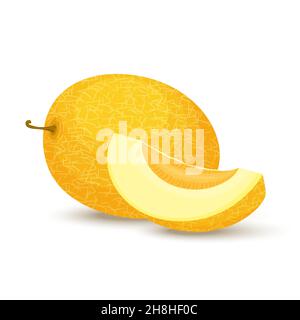 Melon.Ripe fresh honeydew melon. Whole melon and slices. Flat design. Vector illustration Isolated on white background. Stock Vector