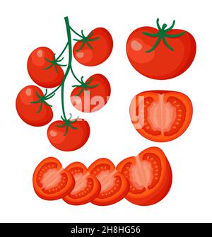 Collection of fresh red tomatoes vector illustrations. Half a tomato, a slice of tomato, cherry tomato. EPS Stock Vector