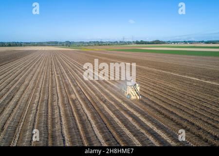 France, Pas de Calais, Nielles les Calais, flax cultivation, turning flax windrows (aerial view) Stock Photo