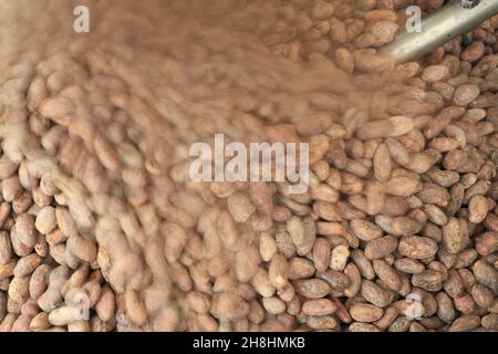 France, Pyrenees Atlantiques, Basque Country, Bayonne, Monsieur Txokola, roasting cocoa beans in the chocolatier's workshop shop opened in 2017 Stock Photo