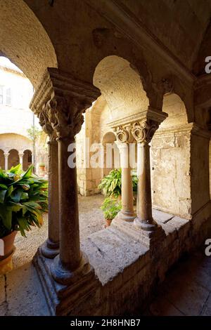 France, Bouches du Rhone, Regional Natural Park of the Alpilles, Saint Remy de Provence, Saint Paul de Mausole Monastery where Van Gogh lived in 1889-1890, the cloister Stock Photo